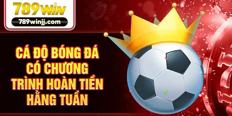 Cá độ bóng đá có chương trình hoàn tiền hằng tuần Cá độ bóng đá có chương trình hoàn tiền hằng tuần